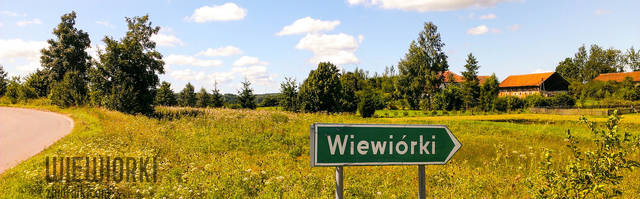 wiewiorki