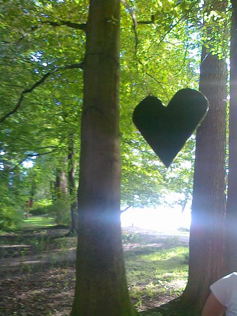 20140705527_001_001[1].jpg - pavloff