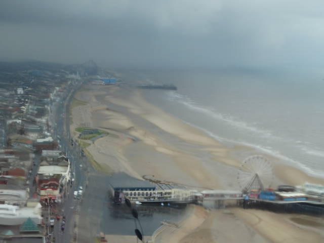 DSC00428.JPG - pu1979