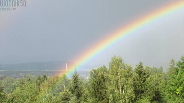 kolorowa..... - wodnik50