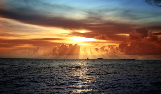 1024X600 01.jpg - dzwonek