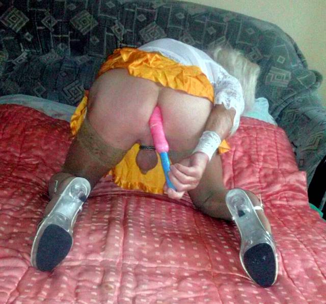 IMG_20140823_192616.JPG - Trans_JOLKA