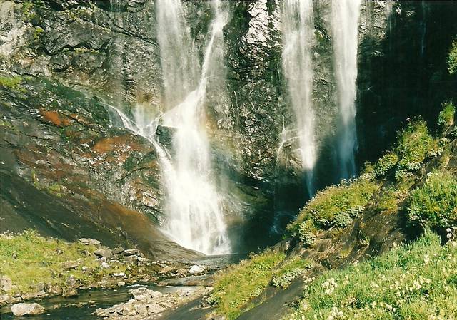 skanowanie0053.jpg - wczesnieurodzony