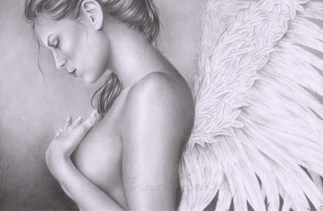 background.jpg - parka29i30