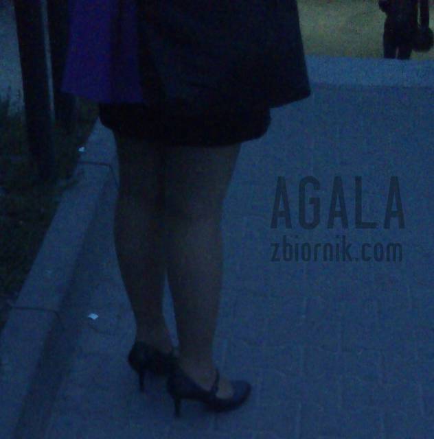 DSCwr0035kl.jpg - AGALA