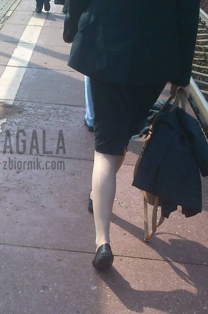 DSCwt0027kl.jpg - AGALA