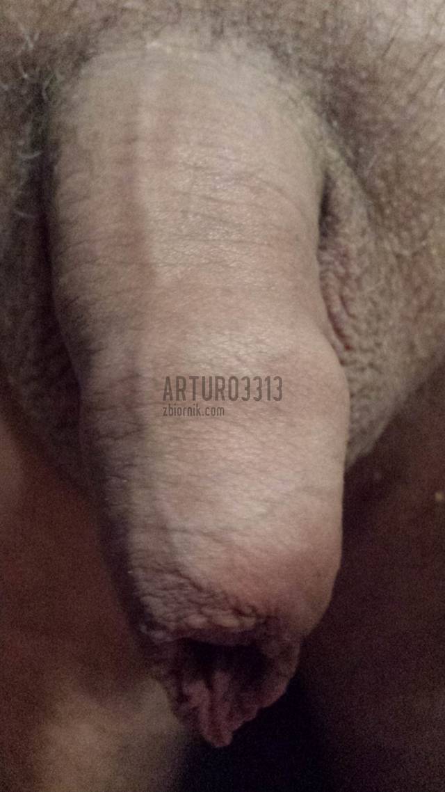 arturo3313