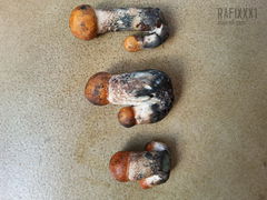 Do wyboru którego chcesz ?