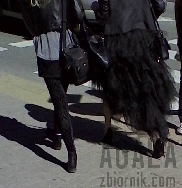 IMG_20140904_105312L.jpg - AGALA