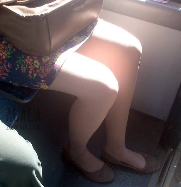 DSC_p0019v.jpg - AGALA