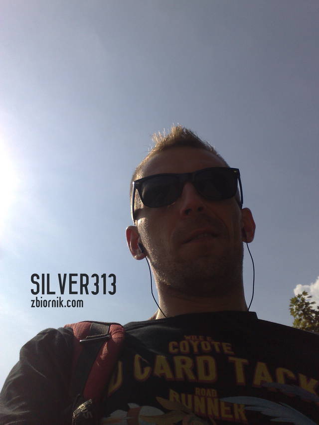 Silver313