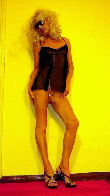 CAM01317.JPG - Trans_JOLKA