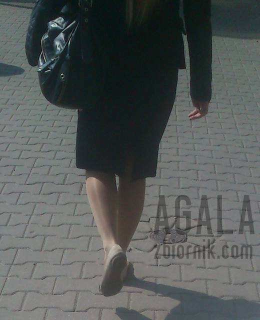 DSCp0054kl.jpg - AGALA