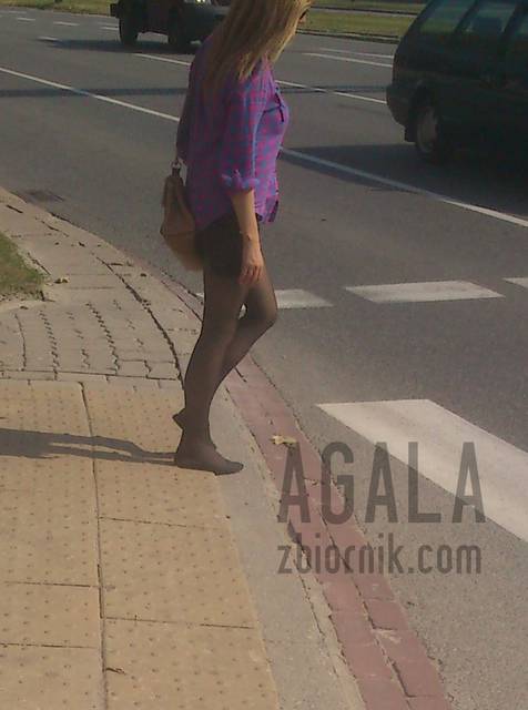 DSC_p0061cz.jpg - AGALA