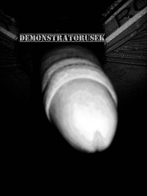 20140910_053435.jpg - demonstratorusek