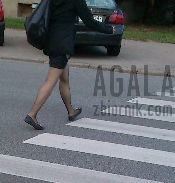 DSCs0032cz.jpg - AGALA