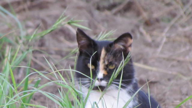 skupienie - wodnik50