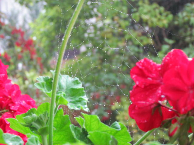 po deszczu - wodnik50