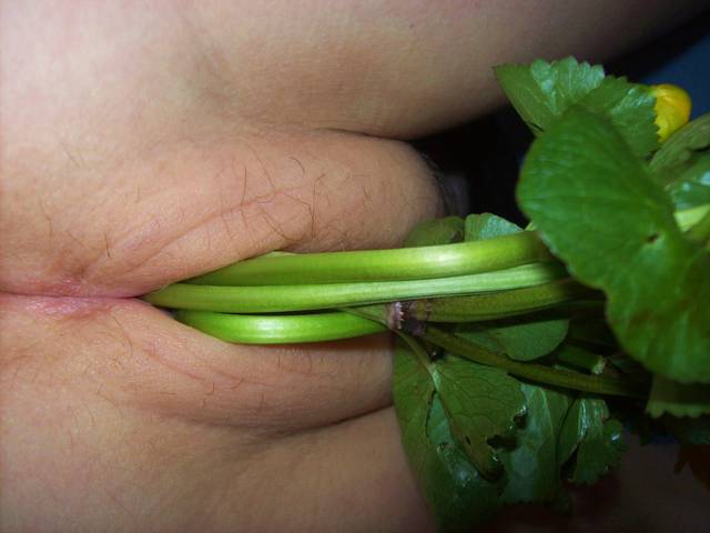 100_1832.jpg - szalonapipi
