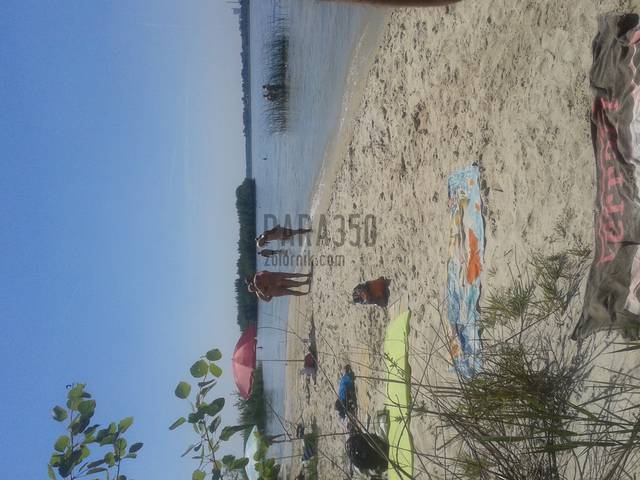 20140608_125016.jpg - para350