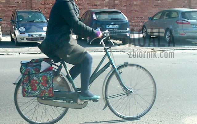 DSCsa0015kol.jpg - AGALA