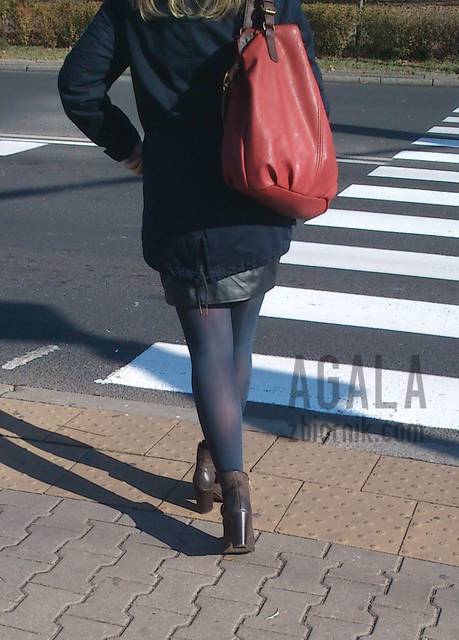 DSCsa0012kol.jpg - AGALA