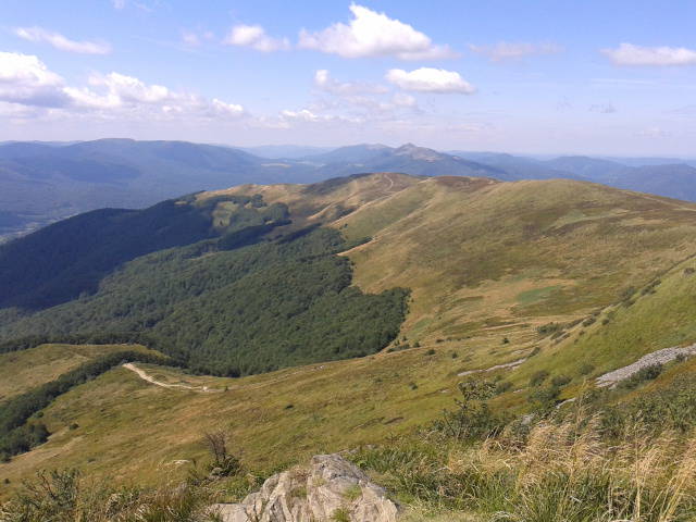 20140819_125930.jpg - LONSDALE70