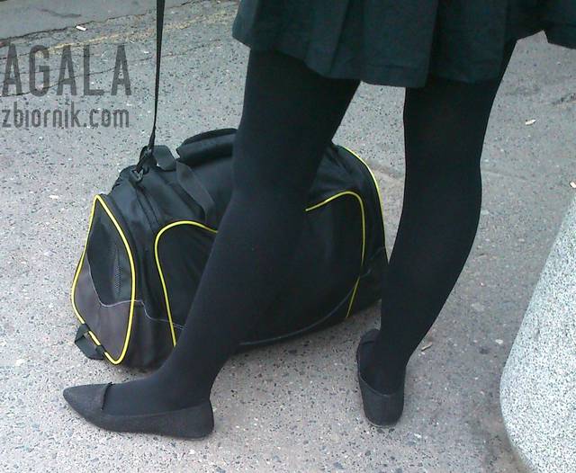 DS0073cz.jpg - AGALA