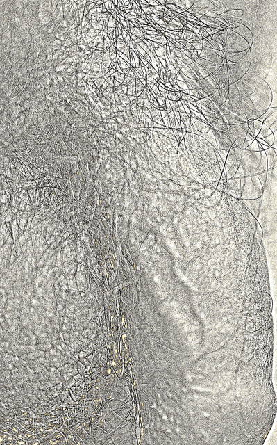 DSC_0022k.jpg - kajserek