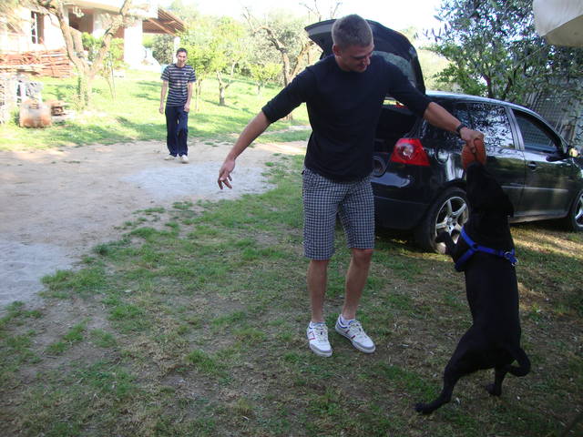 DSC05427.JPG - anzul