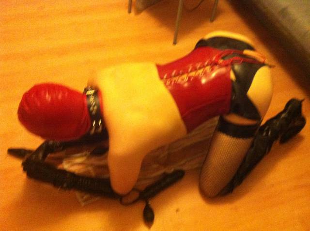 suka w pozycji dla Pana - analna_szmata