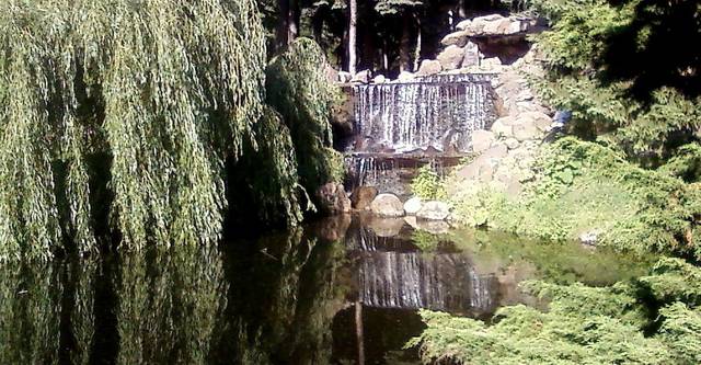 okładka.jpg - GiW2513