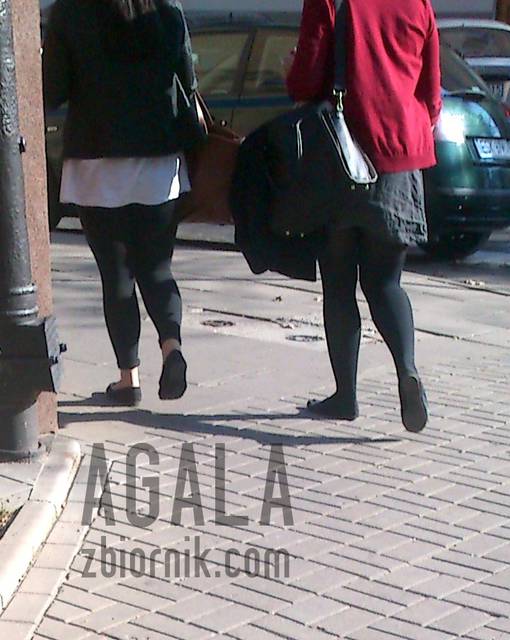 DSCt0017cz.jpg - AGALA