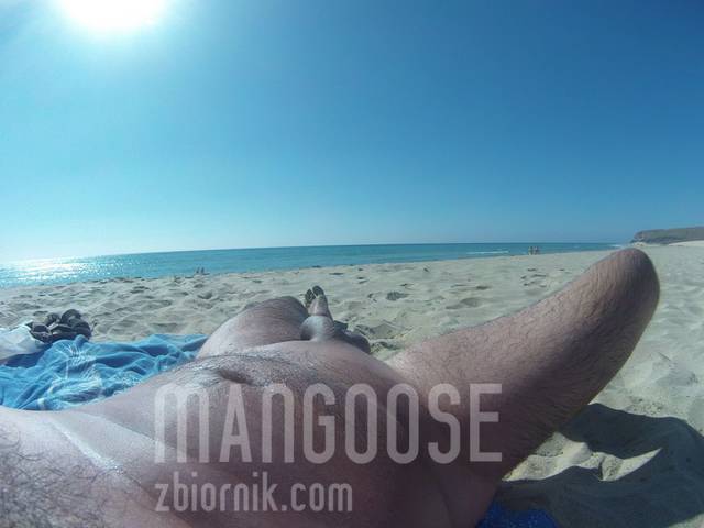 BT000475.JPG - mangoose