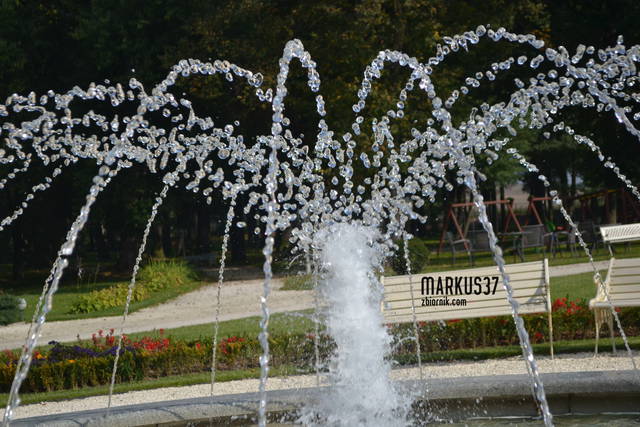 markus na ławeczce ;) - markus37