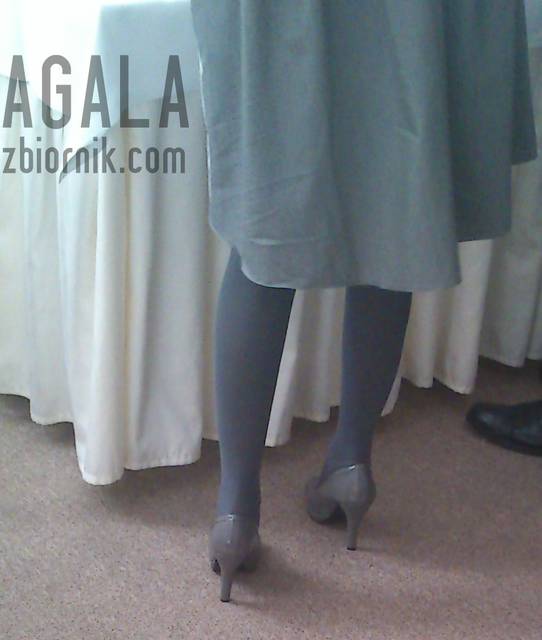 DSCt0020v.jpg - AGALA