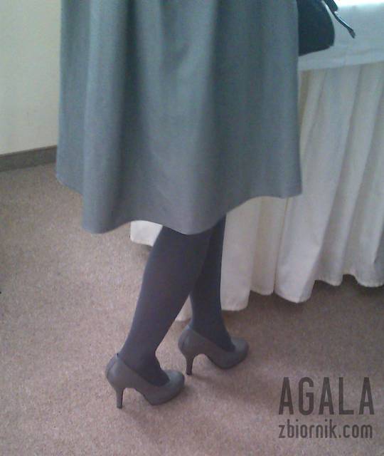 DSCt0019v.jpg - AGALA