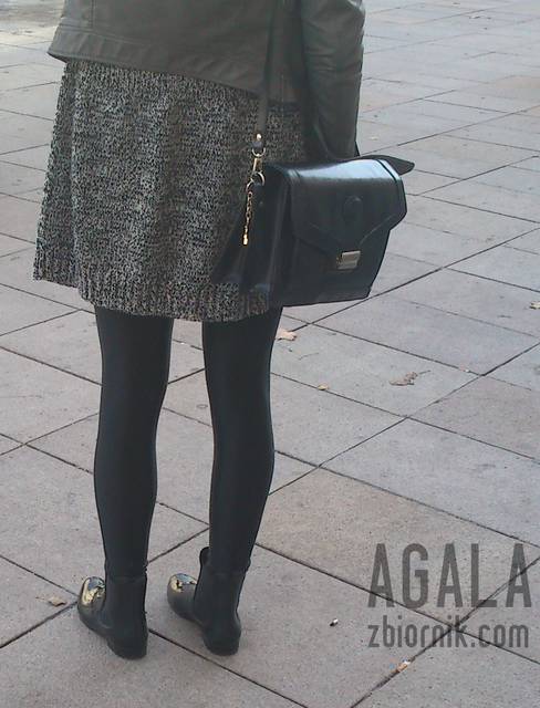 DSC_th0043L.jpg - AGALA