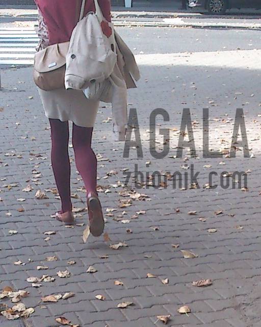 DC_0009kol.jpg - AGALA