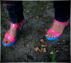 Candy Shoes 11