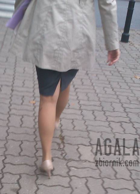 DSCct0031kl.jpg - AGALA