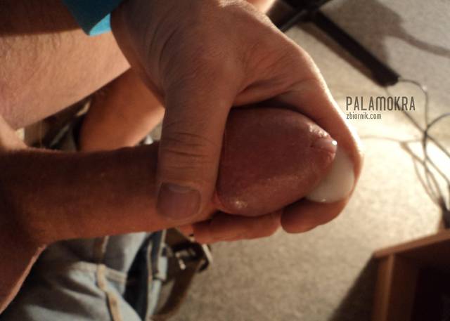 DSC08245.JPG - palamokra