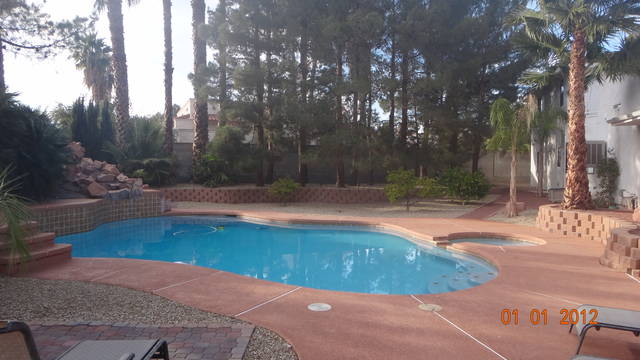 DSC00764.JPG - ficker91