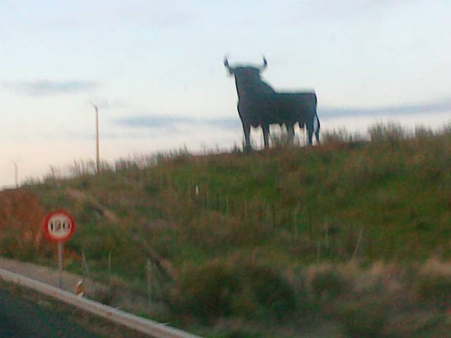 022.jpg - Cezarek0472