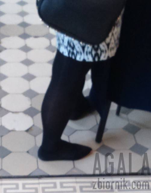 DSCsa0107cz.jpg - AGALA