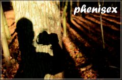 w ukrytej kamerze , leśny łowca ...