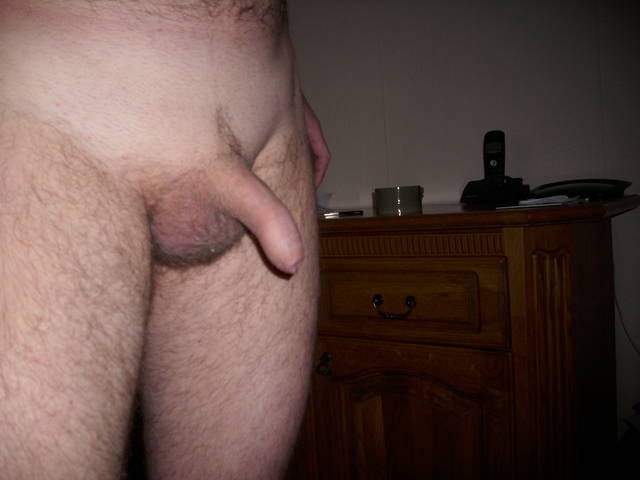 IMG_1206.JPG - sinep