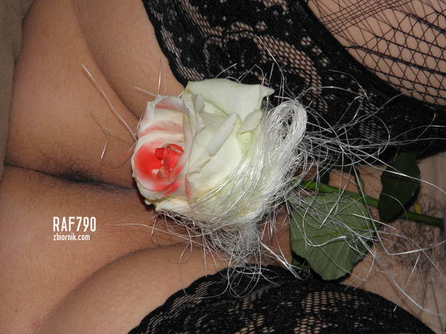 P9143768.JPG - raf790