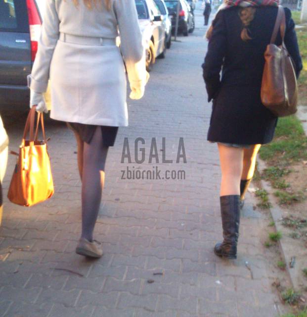 DSC_0124v.jpg - AGALA