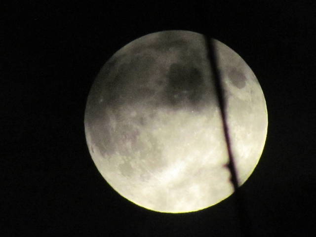 w małym  cieniu - wodnik50